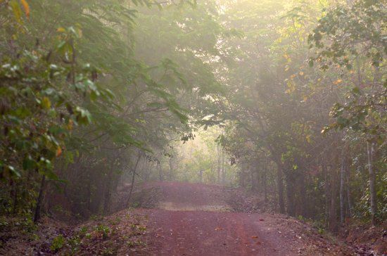 Chandaka-Dampada Wildlife Sanctuary